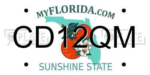 CD12QM Florida License Plate