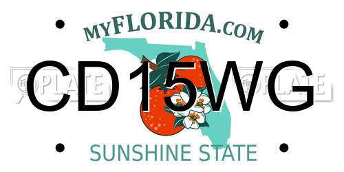CD15WG Florida License Plate