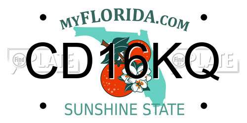 CD16KQ Florida License Plate