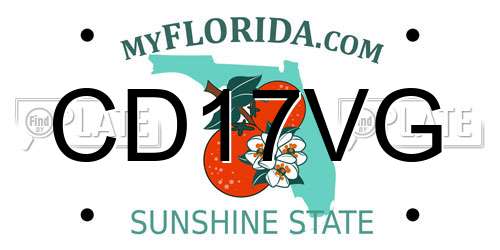 CD17VG Florida License Plate