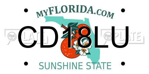 CD18LU Florida License Plate