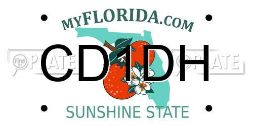 CD1DH Florida License Plate