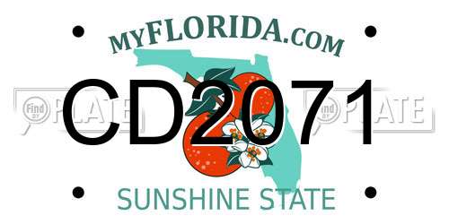CD2071 Florida License Plate
