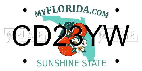 CD23YW Florida License Plate