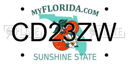 CD23ZW Florida License Plate