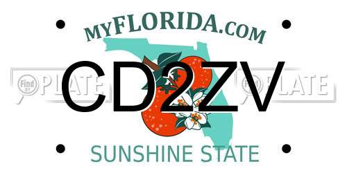 CD2ZV Florida License Plate