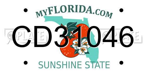 CD31046 Florida License Plate