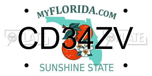 CD34ZV Florida License Plate