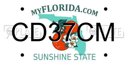 CD37CM Florida License Plate