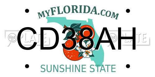 CD38AH Florida License Plate
