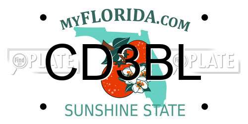 CD3BL Florida License Plate