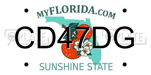 CD47DG Florida License Plate