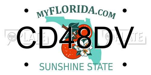 CD48DV Florida License Plate