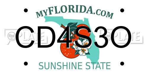 CD4S3O Florida License Plate