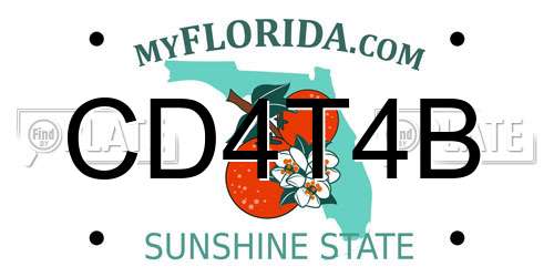 CD4T4B Florida License Plate