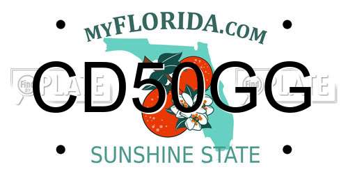 CD50GG Florida License Plate