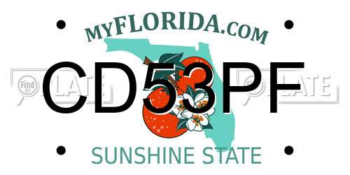 CD53PF Florida License Plate