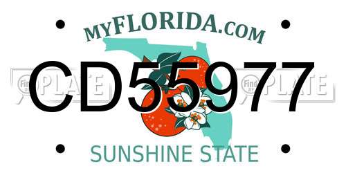 CD55977 Florida License Plate