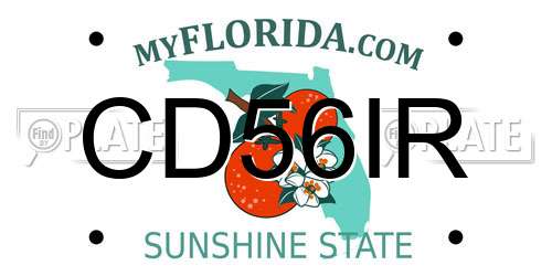 CD56IR Florida License Plate