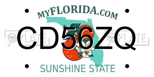 CD56ZQ Florida License Plate