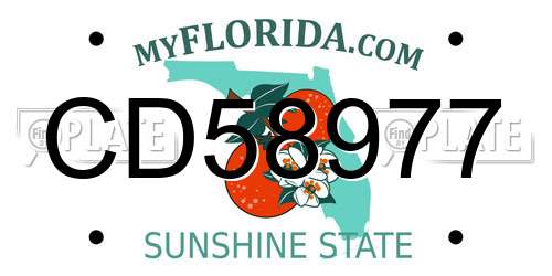 CD58977 Florida License Plate