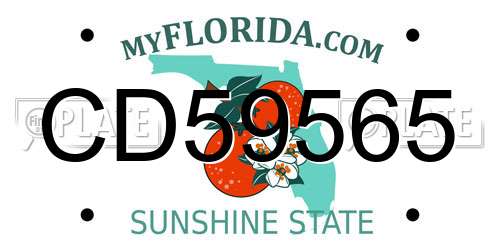 CD59565 Florida License Plate