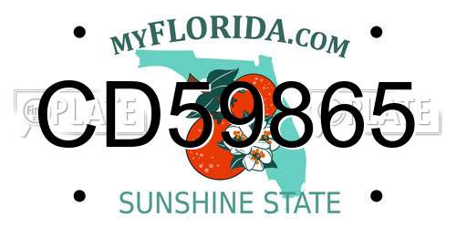 CD59865 Florida License Plate