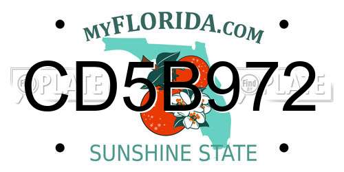 CD5B972 Florida License Plate