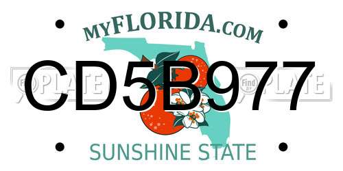 CD5B977 Florida License Plate