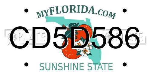 CD5D586 Florida License Plate