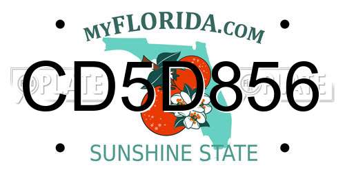 CD5D856 Florida License Plate