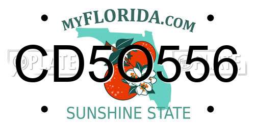 CD5O556 Florida License Plate