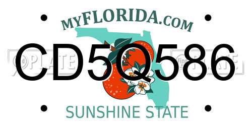 CD5Q586 Florida License Plate