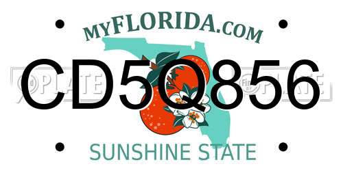 CD5Q856 Florida License Plate