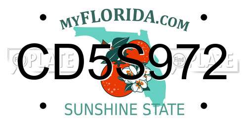 CD5S972 Florida License Plate