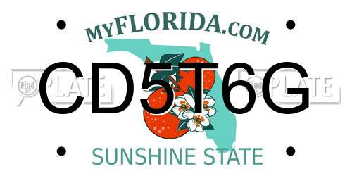 CD5T6G Florida License Plate