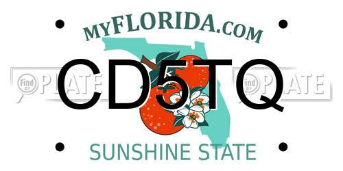 CD5TQ Florida License Plate