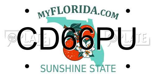 CD66PU Florida License Plate