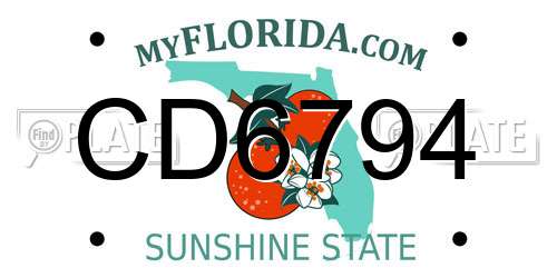 CD6794 Florida License Plate