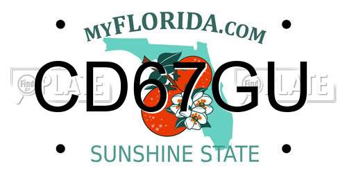 CD67GU Florida License Plate