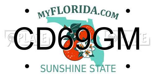 CD69GM Florida License Plate