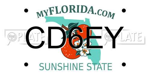 CD6EY Florida License Plate