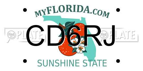 CD6RJ Florida License Plate