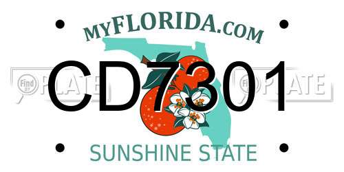 CD7301 Florida License Plate