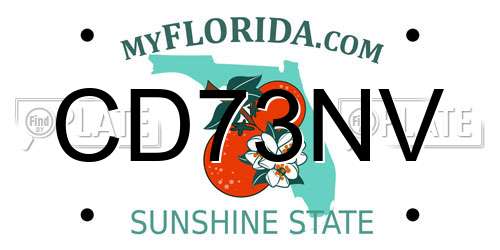 CD73NV Florida License Plate