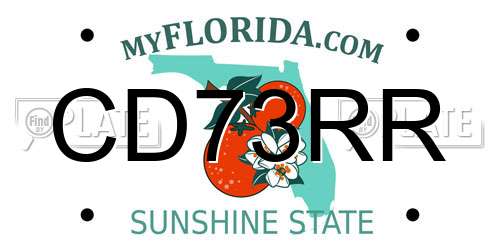 CD73RR Florida License Plate