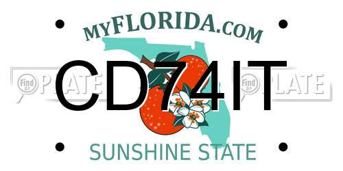 CD74IT Florida License Plate