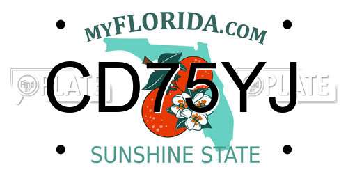 CD75YJ Florida License Plate