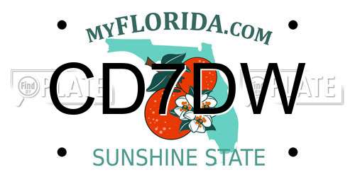 CD7DW Florida License Plate