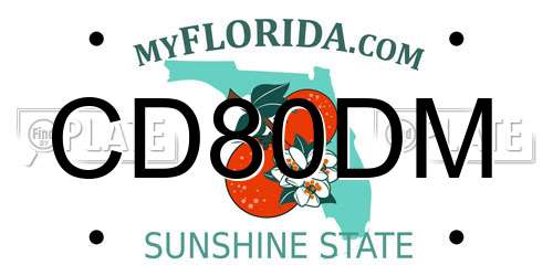CD80DM Florida License Plate